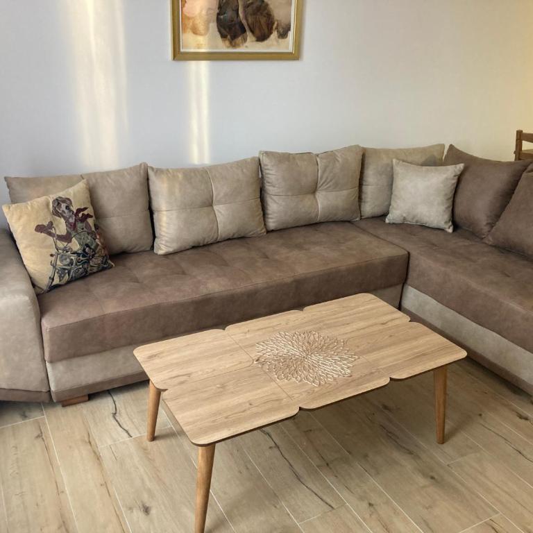 Vila Nina Kopaonik - Apartment with Terrace - 8