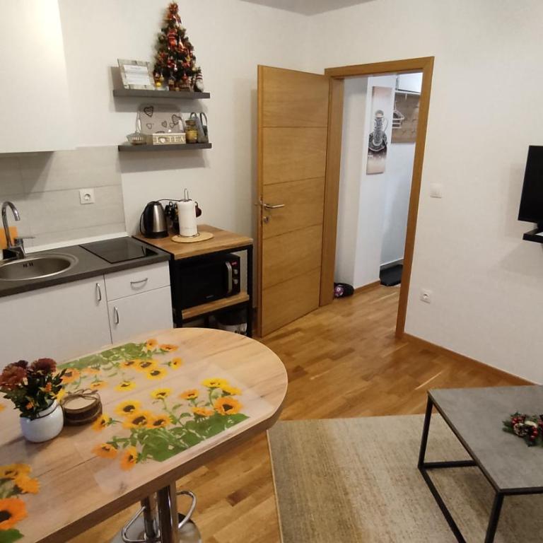 Vila Eskim Jahorina, apartman DB 301 - One-Bedroom Apartment - 9