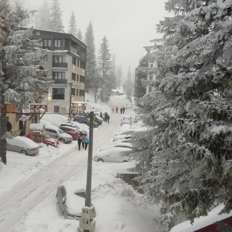 Vila Eskim Jahorina, apartman DB 301 - One-Bedroom Apartment - 30