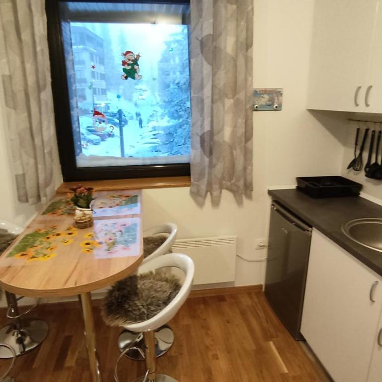 Vila Eskim Jahorina, apartman DB 301 - One-Bedroom Apartment - 4