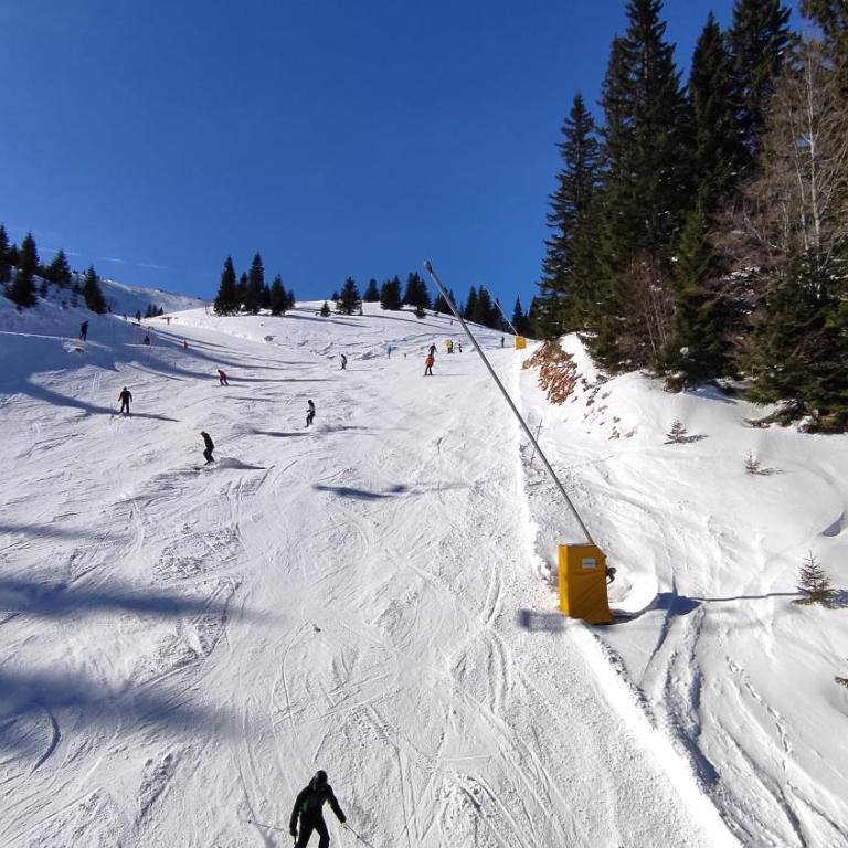 Vila Eskim Jahorina, apartman DB 301 - One-Bedroom Apartment - 28