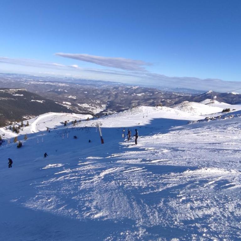Vila Eskim Jahorina, apartman DB 301 - One-Bedroom Apartment - 27