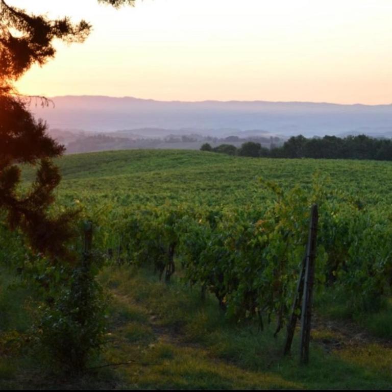 Agriturismo Fattoria Il Piano - Appartamento Focolare - San Gimignano - Appartamento con 2 Camere da Letto - 34