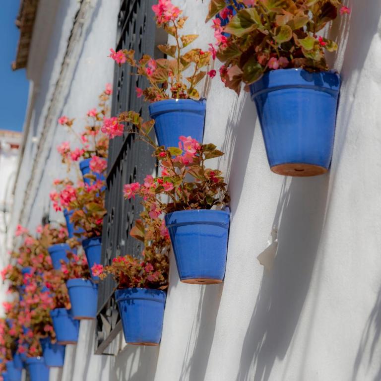 Apartamento Seis Lunas PA - Apartamento de 1 dormitorio - 39