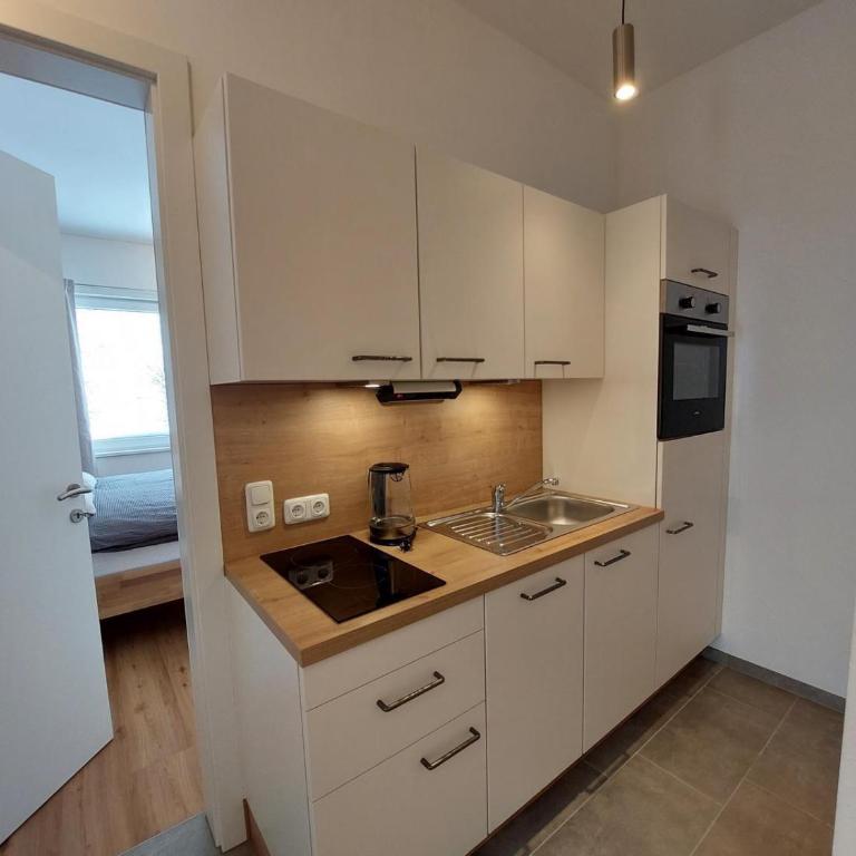 Boutique-Apartments Familie Jarosch Fieberbrunn "Freier Eintritt in das örtliche Hallenbad inklusive Saunalandschaft oder zum Badesee" - Two-Bedroom Apartment with Shower - 3