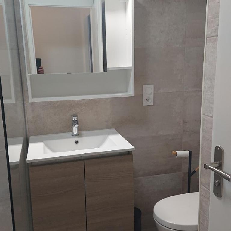 Appartement T2 45 M2 Meublé 3 étoiles tout confort hyper centre de Dax - Appartement 1 Chambre - 21