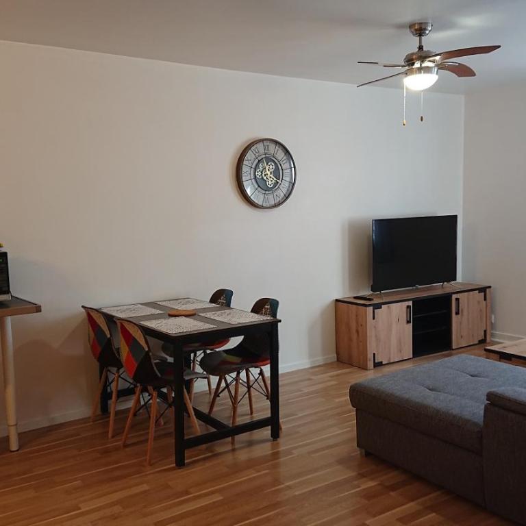 Appartement T2 45 M2 Meublé 3 étoiles tout confort hyper centre de Dax - Appartement 1 Chambre - 5