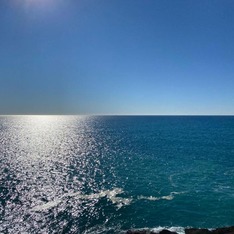 La Bloo di Vernazza - Sea View - AC&WiFi - Vernazzarentals - Haus mit 1 Schlafzimmer - 14