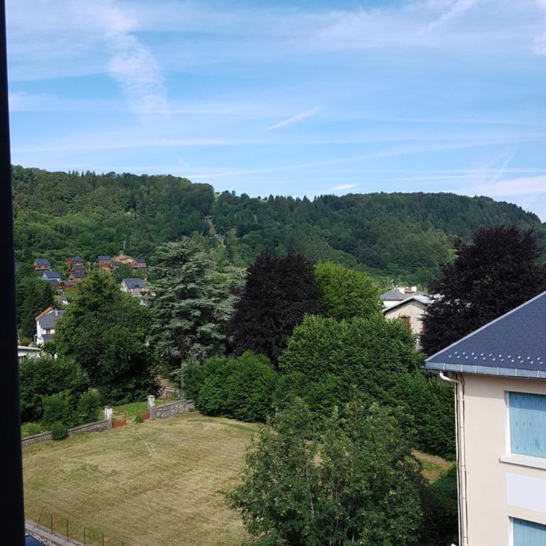 La Maison des Familles 10 appartements - Apartamento de 1 dormitorio (4 adultos) - 8