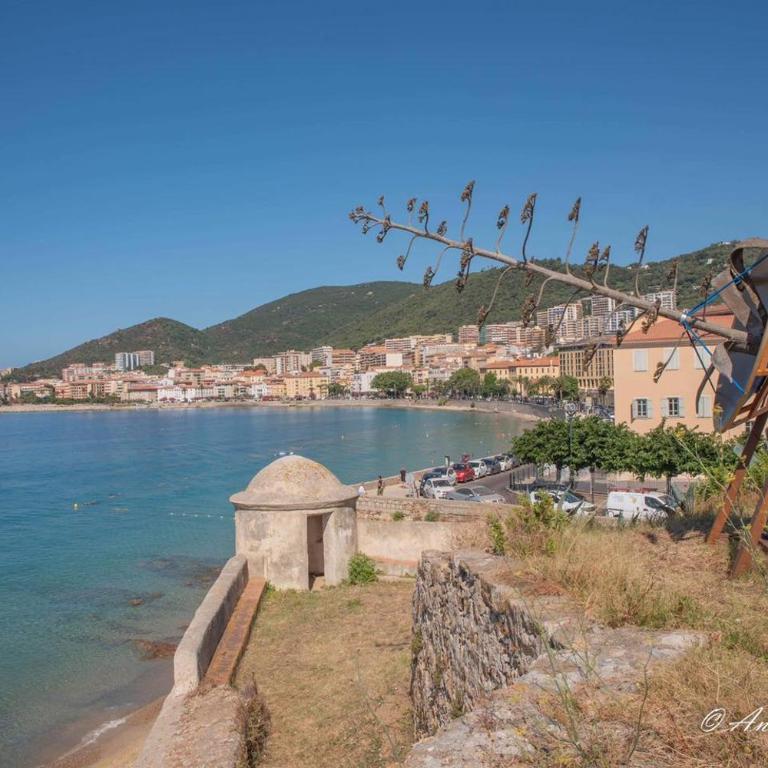Sudio bord de mer Ajaccio - Apartment mit 1 Schlafzimmer - 10