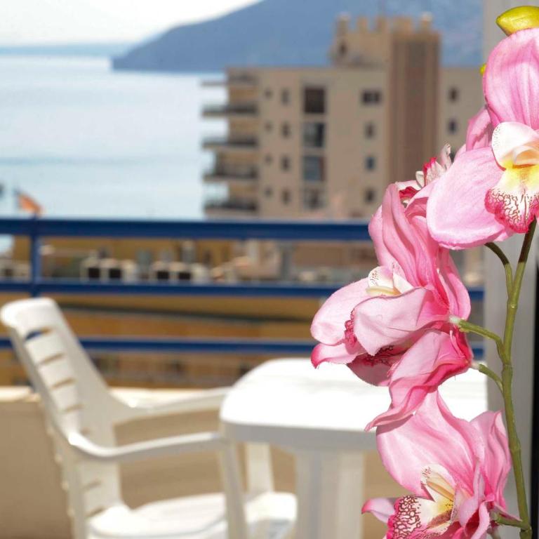 APCOSTAS Turquesa Playa - Calpe - Apartamento de 1 dormitorio - 5