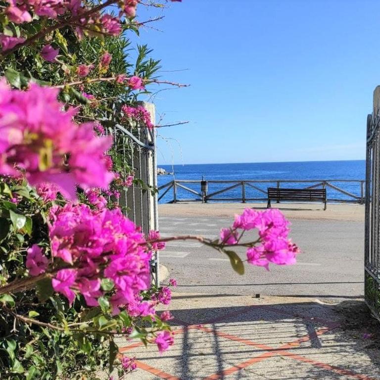 Lungomare Bay, e sei in spiaggia... - Appartamento con 2 Camere da Letto - 4