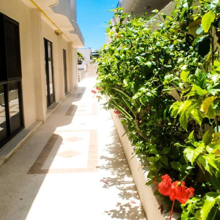 Walk to Beach Prime Location Villas Marlin #32 - One-Bedroom Apartment - 23