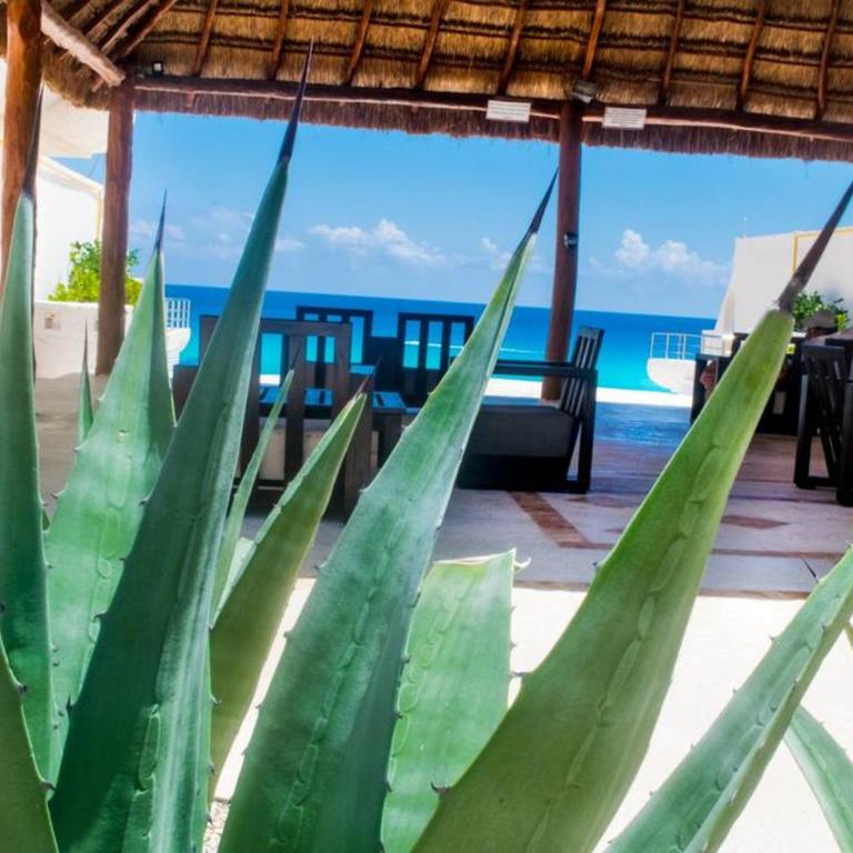 Walk to Beach Prime Location Villas Marlin #32 - One-Bedroom Apartment - 26