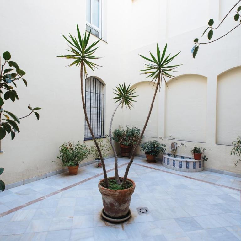 Siete Revueltas Suite Apartment - Apartamento de 3 dormitorios - 25