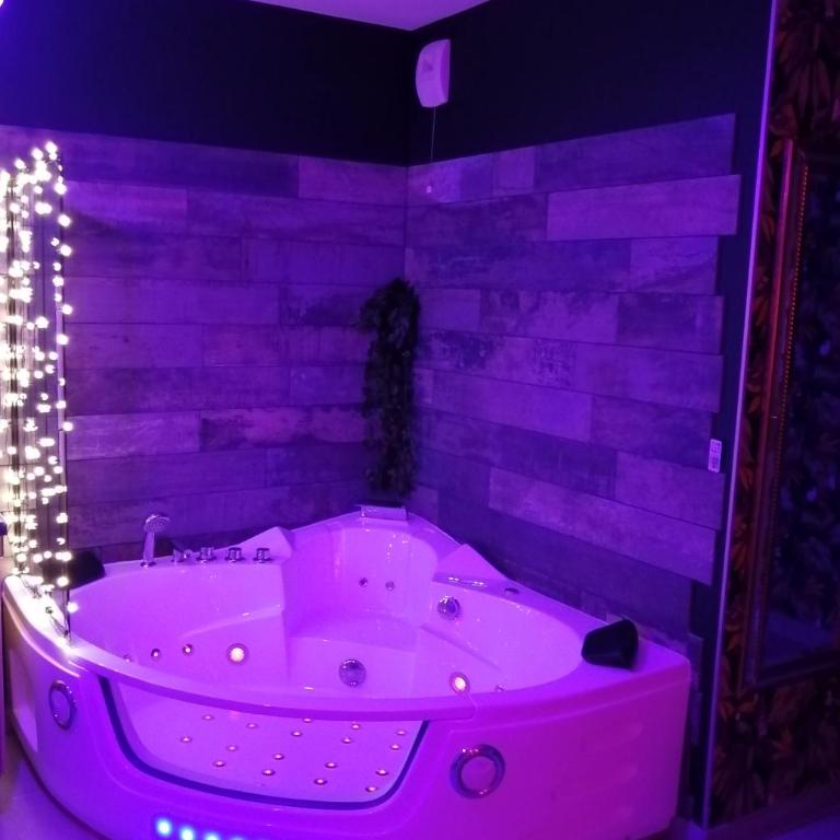 Romantisme et glamour 2 avec spa , clim et jardin - Appartamento con 1 Camera da Letto - 24
