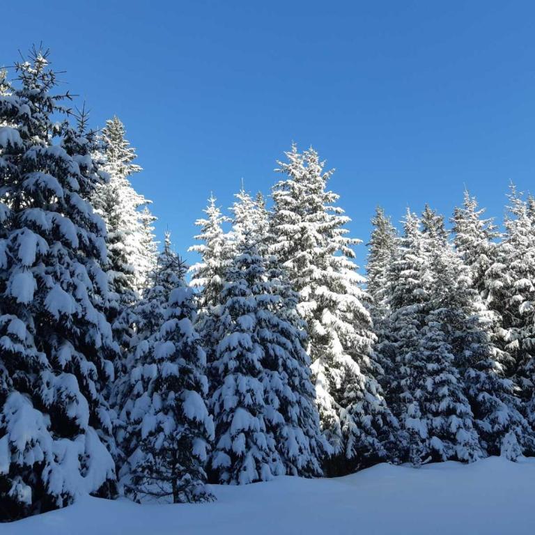 Studio Adrian - Studio Apartment - 38