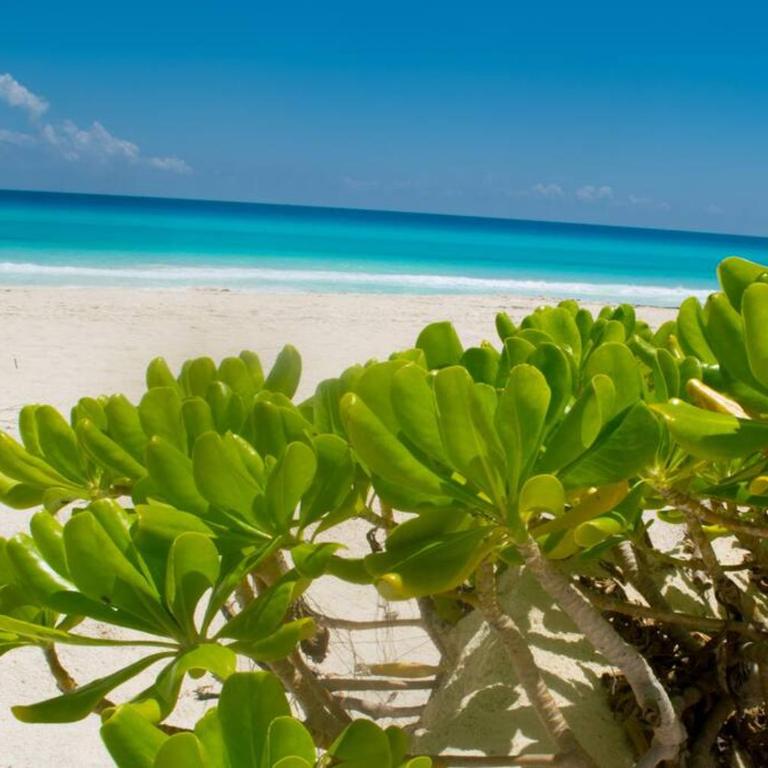 Beachfront apartment Marlin Villa 107 - One-Bedroom Apartment - 28