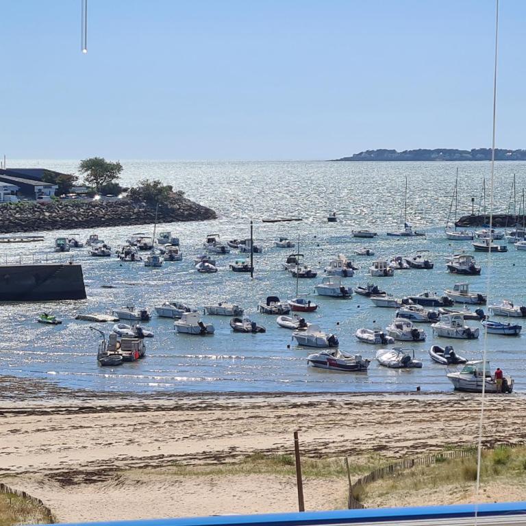Appartement Face Mer au pied des commerces - Studio mit Meerblick - 1