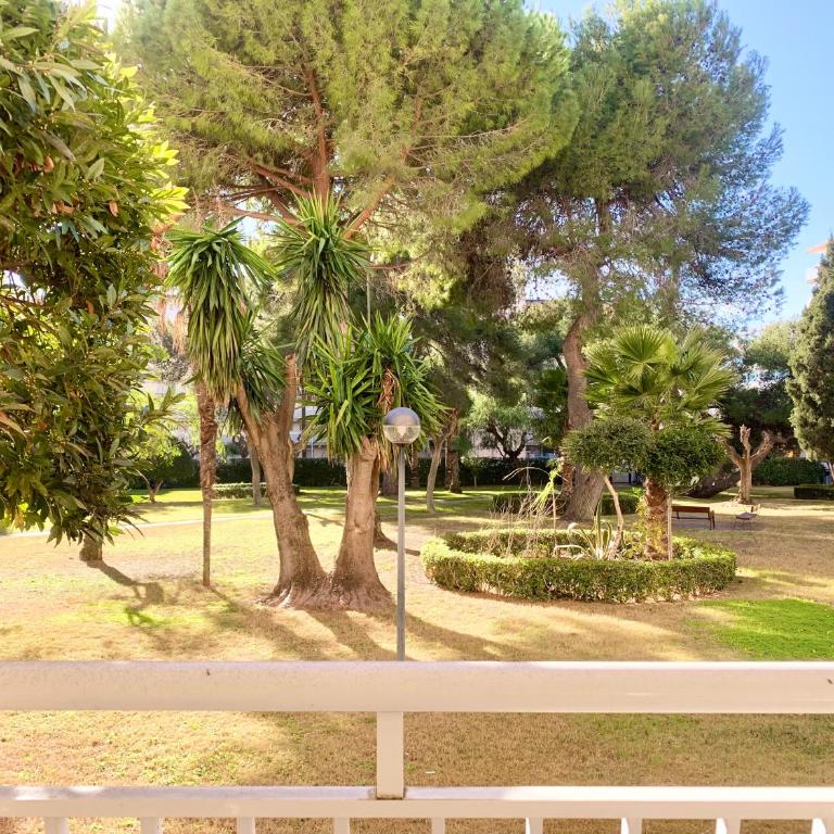 Apartamentos Zaragoza - Apartamento - Planta baja - 8