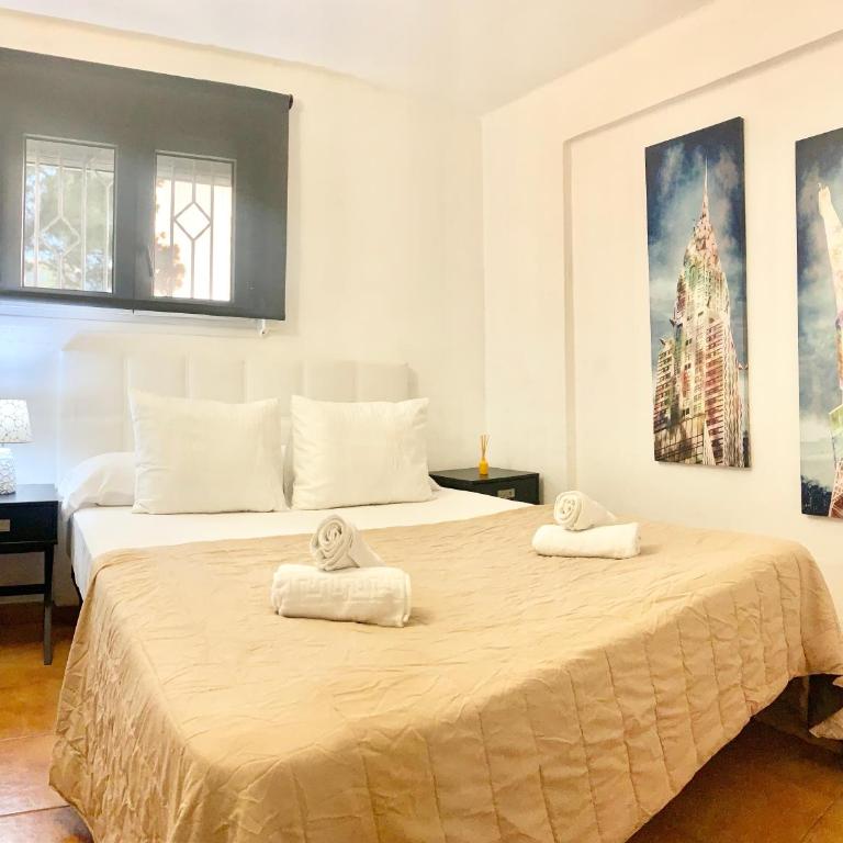 Apartamentos Zaragoza - Apartamento con terraza - 11
