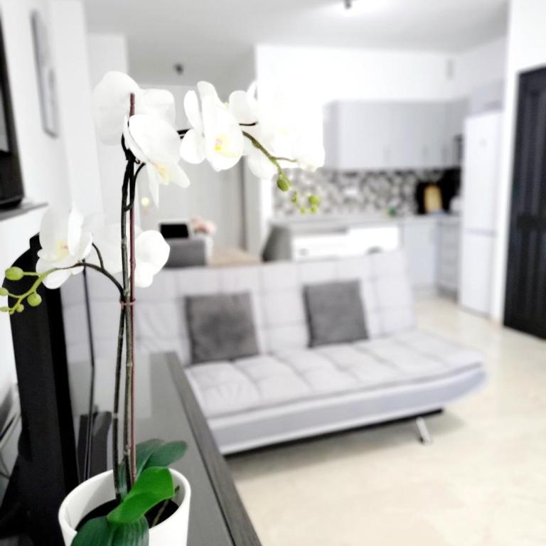 Studio SEA SUN and BEACH - Apartamento Estudio con vistas al mar - 18