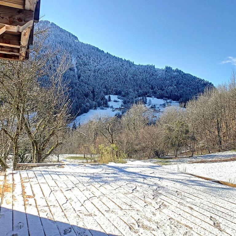 Chalet BAS-THEX 8-10 pers SAINT JEAN D'AULPS- PROCHE MORZINE-WIFI - Chalet - 24