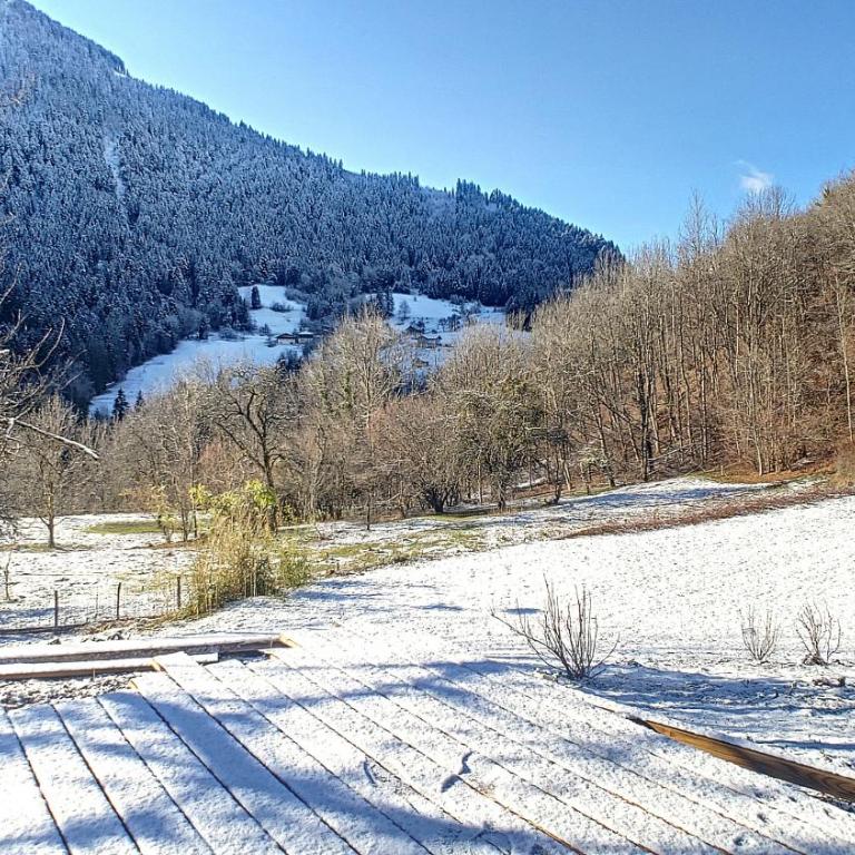 Chalet BAS-THEX 8-10 pers SAINT JEAN D'AULPS- PROCHE MORZINE-WIFI - Chalet - 25