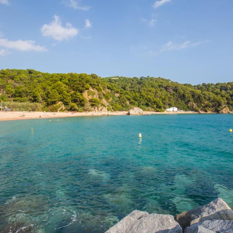 2Lin - Lloret de Mar - Villa con piscina privada - 16