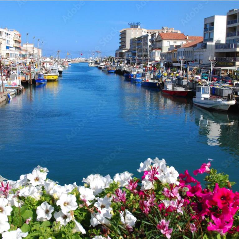 Appt T2 climatisé, climatisation neuve cette année!, Piscine, la Plage à 130m! Parking privé clos, Lave-linge, Lave-vaisselle, Draps, Linge et Ménage inclus! - Appartement 1 Chambre - 34