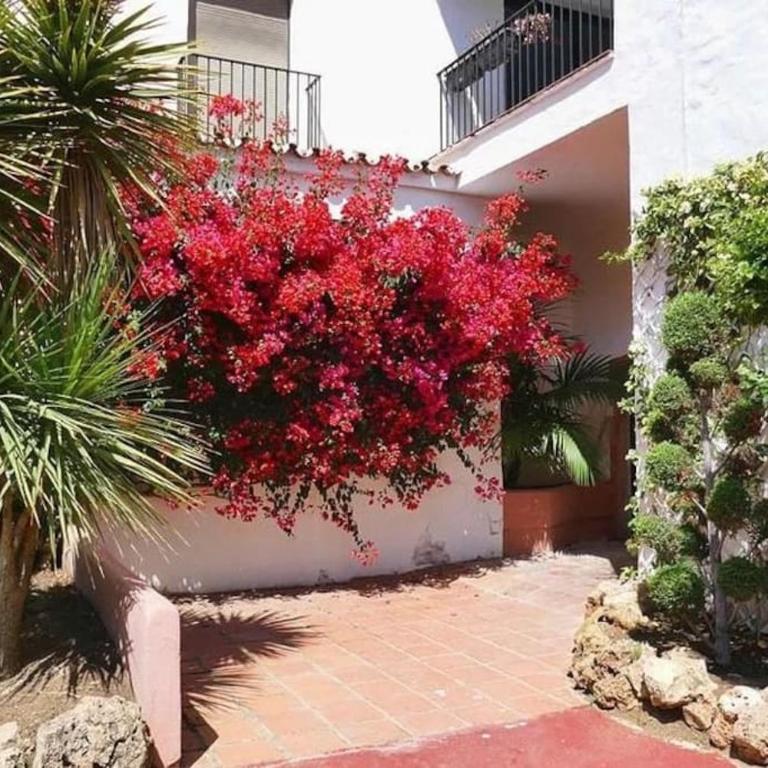 Luxury Apartment in Puerto Banus Free Parking, 100m to Beach & Marina - One-Bedroom Apartment - 18