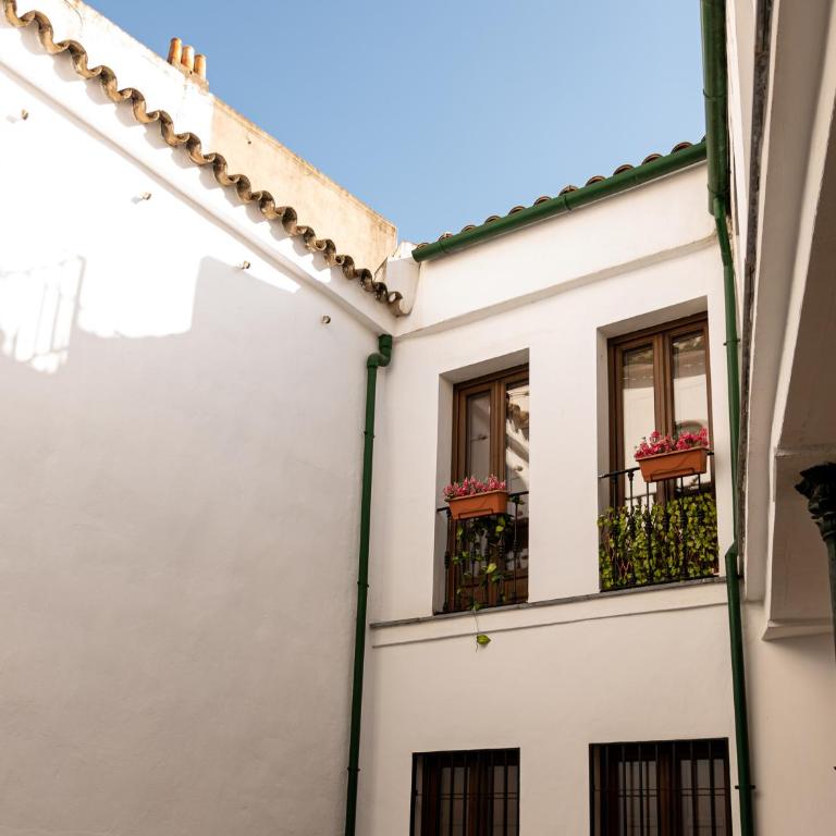 Apartamento Esparteria Parking gratuito - Apartamento de 1 dormitorio - 4