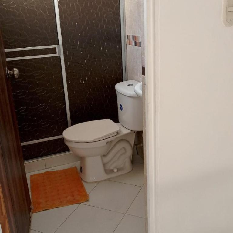 Apartamento Amoblado en Ibagué - Apartamento de 2 dormitorios - 7