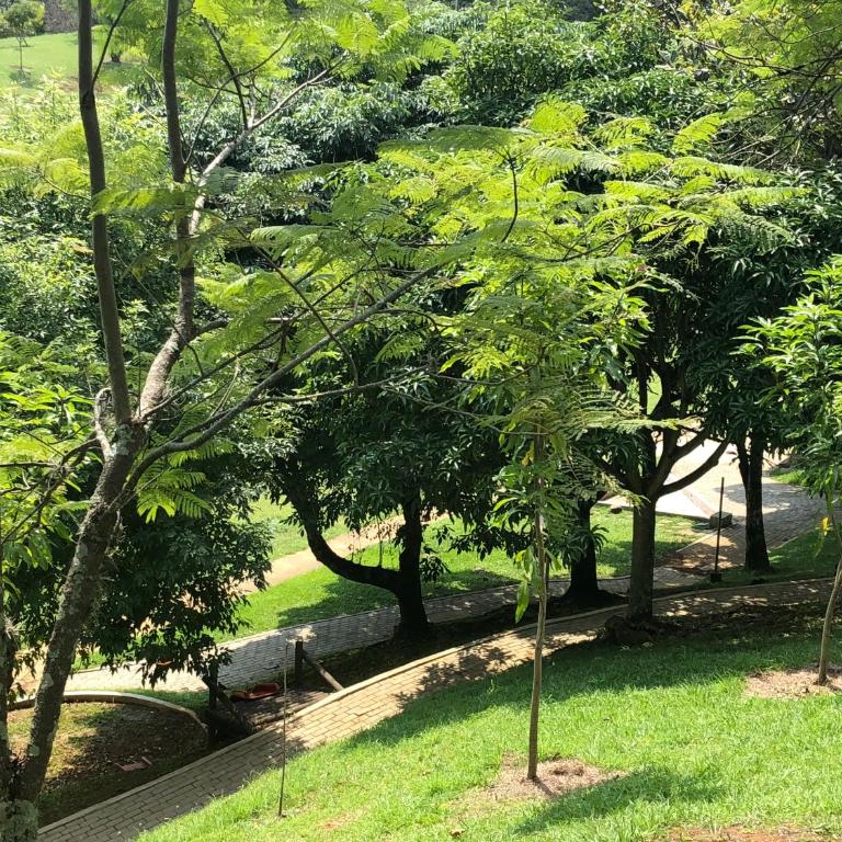 Aventurina - Casa de 3 dormitorios - 12
