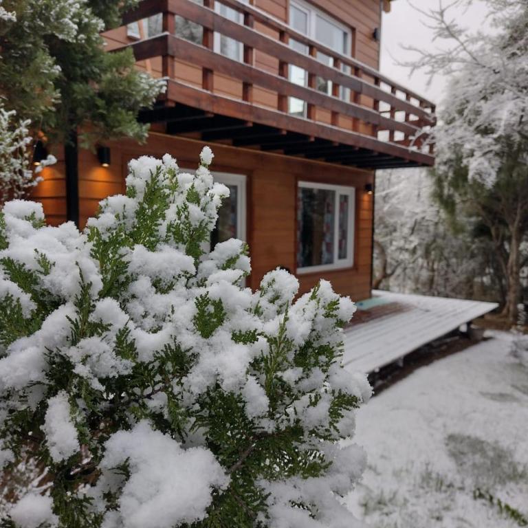 Cabaña Los Cipreses - Chalet de 2 dormitorios - 9