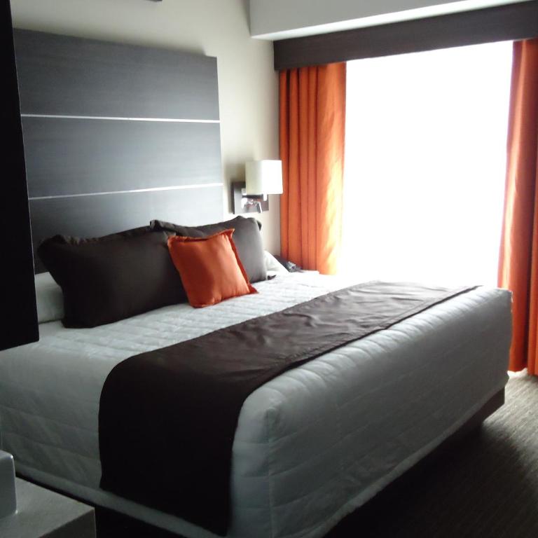 Hotel Real Alameda de Queretaro - Junior Suite - 6