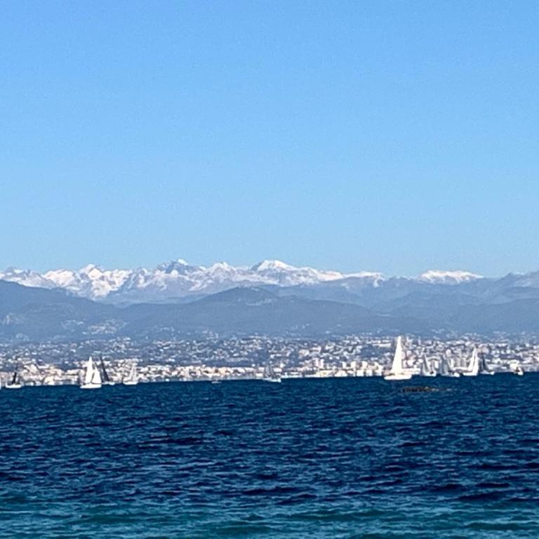 Cap d Antibes, Salis beach , 2 bedrooms , free parking - Appartement 2 Chambres - 23