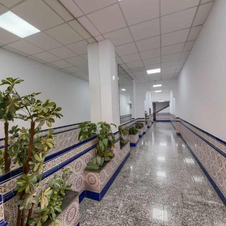 Holidays2Malaga Plaza de Toros Vieja & terrace & optional parking - Apartamento con terraza - 6