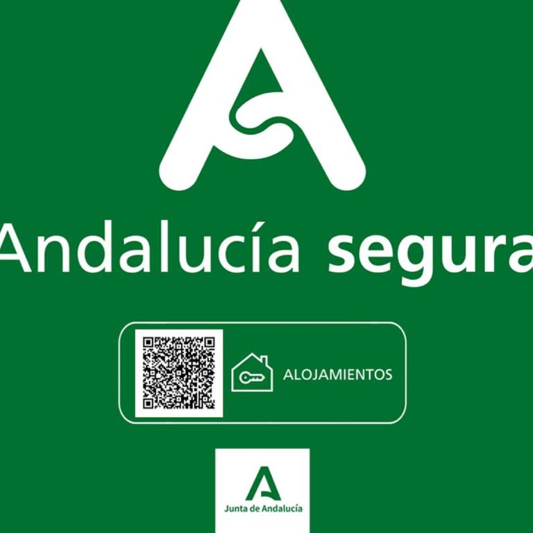 Holidays2Malaga Plaza de Toros Vieja & terrace & optional parking - Apartamento con terraza - 2