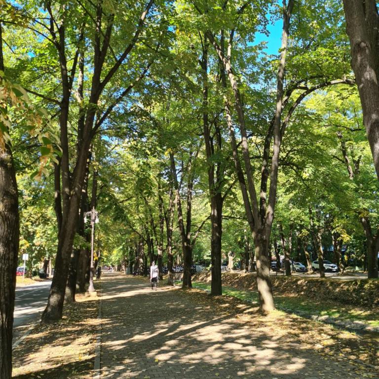 Happy Moments - Apartman sa 1 Spavaćom Sobom - 23