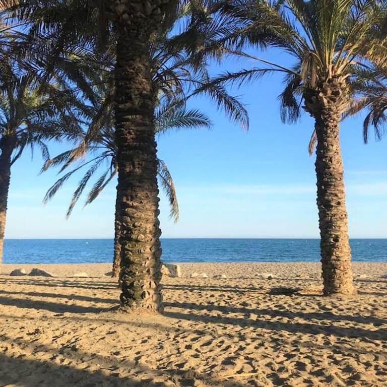 Don Gustavo 2 Bedroom Beach Front Apt, Sea Views - Two-Bedroom Apartment - 13