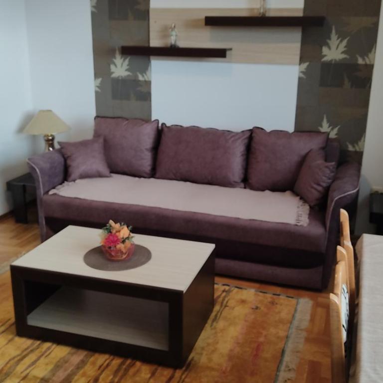 Rakocevic Apartments - One-Bedroom Apartment - 14