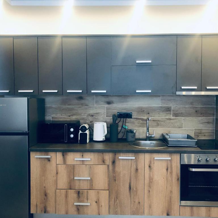 Kopaonik Milmari Apartment N95 - Apartman sa 1 Spavaćom Sobom - 13