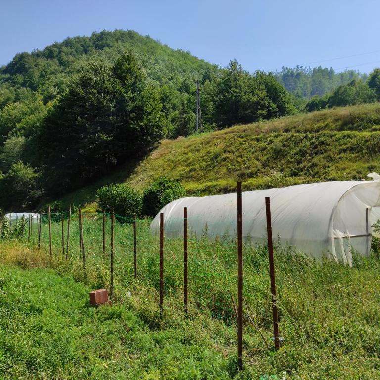 Apartment Old House - One-Bedroom Apartment - 22