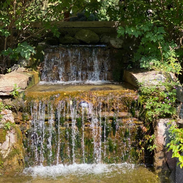 Apartment Old House - One-Bedroom Apartment - 32