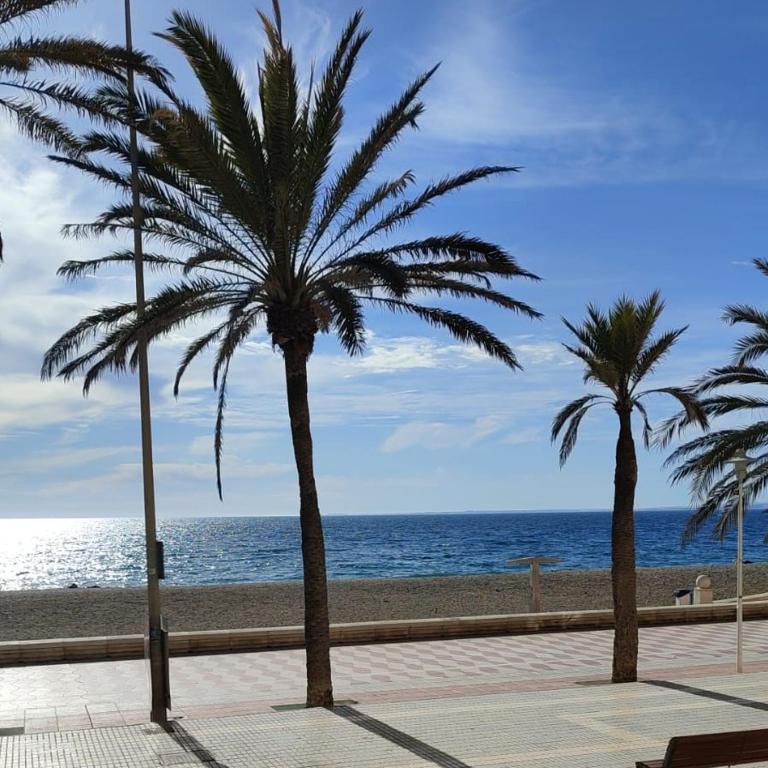 Apartamento a 50 m del mar con aire acondicionado y WiFi, Ideal familias,parejas - Apartamento de 1 dormitorio - 51