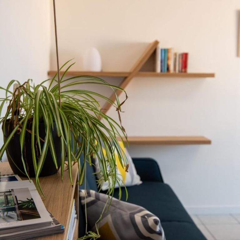 Vue mer ! Appartement pour 4 - Appartamento - 12