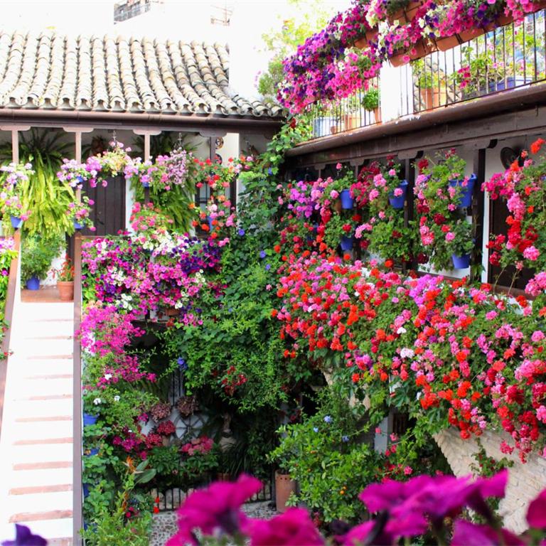 Puerta a la Mezquita - Apartamento de 2 dormitorios - 26