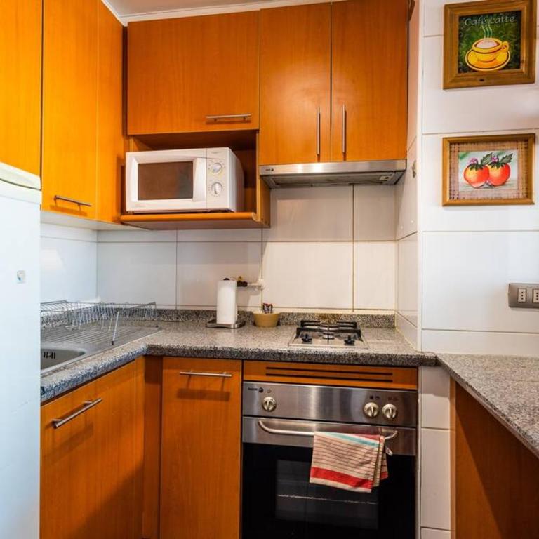 Amazing View Providencia Costanera Center Parking incl - Apartamento de 1 dormitorio - 5