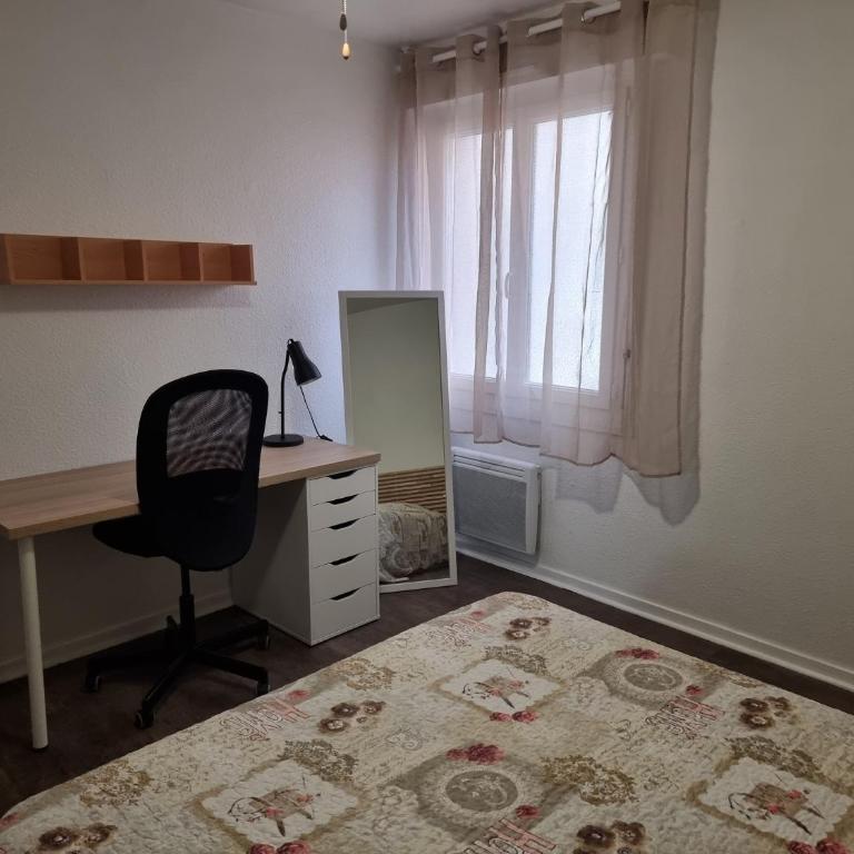 Appartement T2 45 M2 Meublé 3 étoiles tout confort hyper centre de Dax - Appartement 1 Chambre - 17